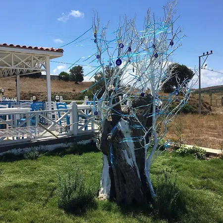 Mylos Hotel Bozcaada