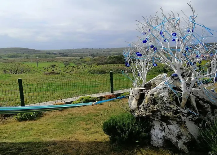 Mylos 보즈자아다