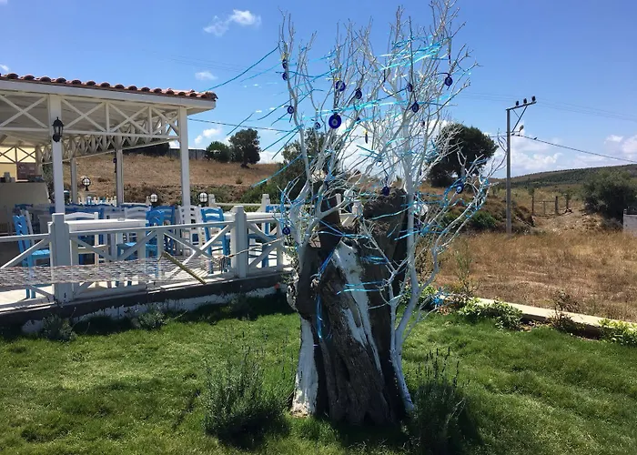 Mylos 호텔 보즈자아다